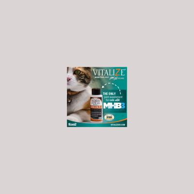 Show full view: Vitalize Trixsyn Feline Hyaluronan Joint Support Cat Supplement, 2-fl oz bottle slide 4 of 9