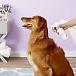 Show in main carousel: TrizCHLOR 4 Spray Conditioner for Dogs, Cats & Horses, 8-fl oz bottle slide 4 of 9