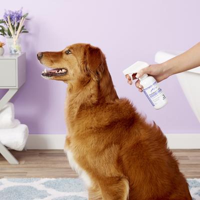 Show full view: TrizCHLOR 4HC Spray Conditioner for Dog, Cats & Horses, 8-fl oz bottle slide 5 of 10