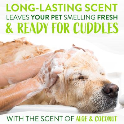 Show full view: TropiClean Deodorizing Aloe & Coconut Shampoo, 20-fl oz bottle + Lime & Coconut Deodorizing Dog & Cat Spray, 8-fl oz bottle slide 4 of 9