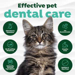 TropiClean Drops Cat Dental Water Additive, 2.2-fl oz bottle