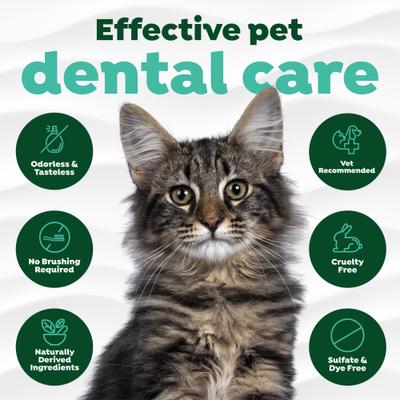 Show full view: TropiClean Drops Cat Dental Water Additive, 2.2-fl oz bottle slide 6 of 10