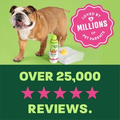 TropiClean EnduraScent Raspberry Lime Scented Deodorizing Dog & Cat Shampoo, 20-fl oz bottle slide 2 of 9