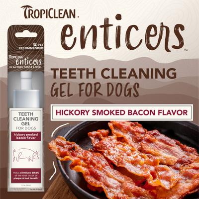 Show full view: TropiClean Enticers Hickory Smoked Bacon Flavor Dog Teeth Cleaning Gel, 2-oz tube slide 5 of 11