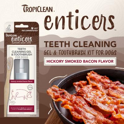 Show full view: TropiClean Enticers Hickory Smoked Bacon Flavored Toothpaste Large Dog Tooth Brushing Kit, 2-oz tube slide 4 of 10