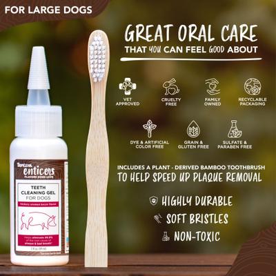 Show full view: TropiClean Enticers Hickory Smoked Bacon Flavored Toothpaste Large Dog Tooth Brushing Kit, 2-oz tube slide 7 of 10