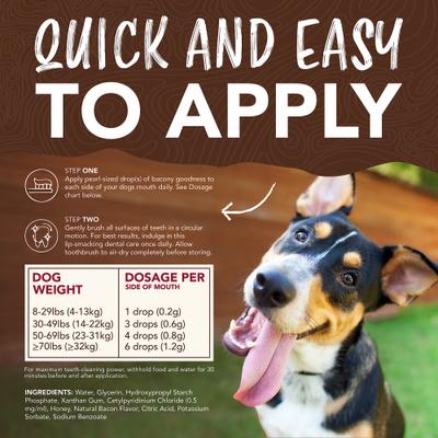 Show full view: TropiClean Enticers Hickory Smoked Bacon Flavored Toothpaste Large Dog Tooth Brushing Kit, 2-oz tube slide 8 of 10