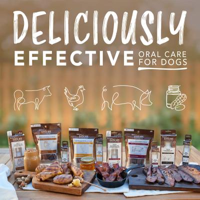 Show full view: TropiClean Enticers Hickory Smoked Bacon Flavored Toothpaste Large Dog Tooth Brushing Kit, 2-oz tube slide 9 of 10