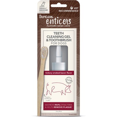 TropiClean TropiClean Enticers Hickory Smoked Bacon Flavored Toothpaste Small & Medium Dog Tooth Brushing Kit, 2-oz tube