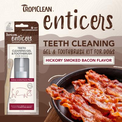 Show full view: TropiClean Enticers Hickory Smoked Bacon Flavored Toothpaste Small & Medium Dog Tooth Brushing Kit, 2-oz tube slide 4 of 10