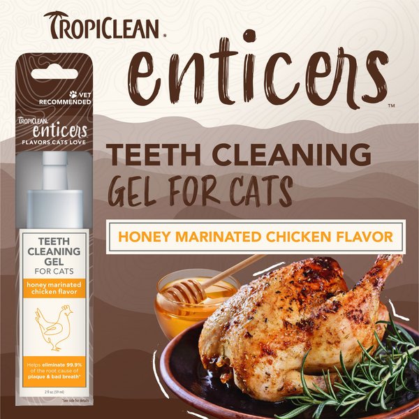 TropiClean Enticers Honey Marinated Chicken Flavor Cat Teeth Cleaning Gel, 2-oz tube