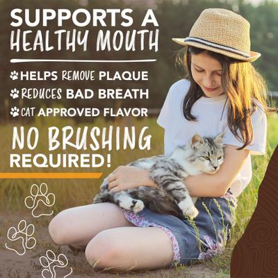 Show full view: TropiClean Enticers Honey Marinated Chicken Flavor Cat Teeth Cleaning Gel, 2-oz tube slide 6 of 11