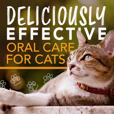 Show full view: TropiClean Enticers Honey Marinated Chicken Flavor Cat Teeth Cleaning Gel, 2-oz tube slide 10 of 11