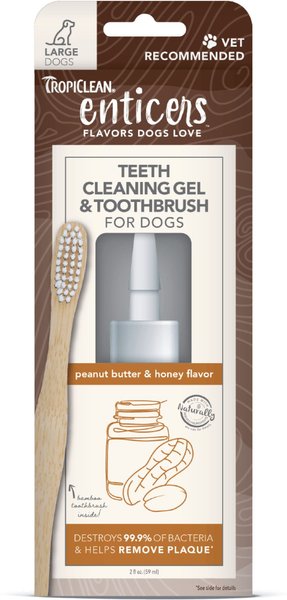 TropiClean Enticers Peanut Butter & Honey Flavored Toothpaste Large Dog Tooth Brushing Kit, 2-oz tube