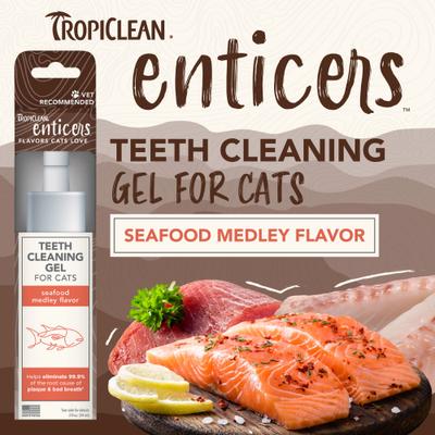 Show full view: TropiClean Enticers Seafood Medley Flavor Cat Teeth Cleaning Gel, 2-oz tube slide 5 of 10