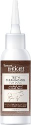 TropiClean Enticers Smoked Beef Brisket Flavor Dog Teeth Cleaning Gel, 2-oz tube