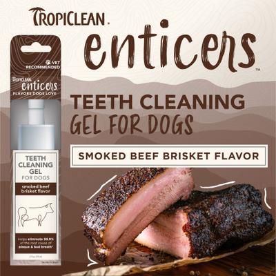 Show full view: TropiClean Enticers Smoked Beef Brisket Flavor Dog Teeth Cleaning Gel, 2-oz tube slide 5 of 11
