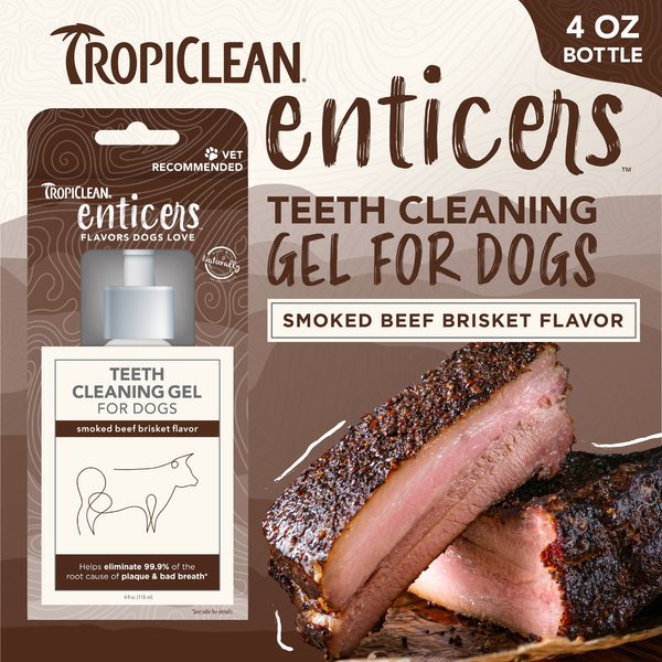 TropiClean Enticers Smoked Beef Brisket Flavor Dog Teeth Cleaning Gel