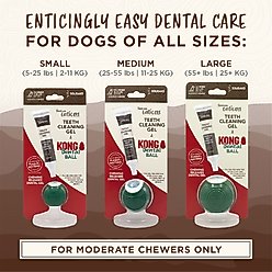 TropiClean Enticers Smoked Beef Brisket Flavored Toothpaste + KONG Dental Ball Kit for Large Dogs slide 2 of 8