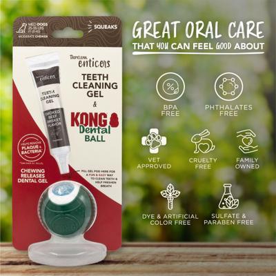 Show full view: TropiClean Enticers Smoked Beef Brisket Flavored Toothpaste + KONG Dental Ball Kit for Medium Dogs slide 9 of 9