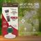 Show in main carousel: TropiClean Enticers Smoked Beef Brisket Flavored Toothpaste + KONG Dental Ball Kit for Small Dogs slide 9 of 10