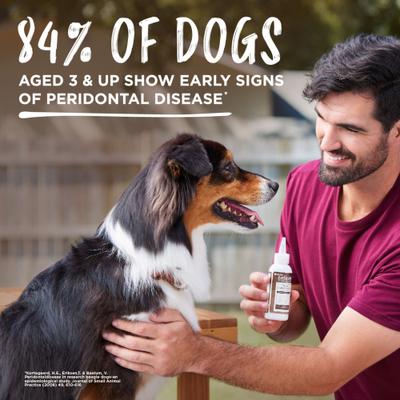 Show full view: TropiClean Enticers Smoked Beef Brisket Flavored Toothpaste + KONG Dental Ball Kit for Small Dogs slide 8 of 10