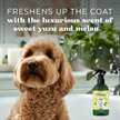 Show in main carousel: TropiClean Essentials Hydrating Yuzu Fruit Deodorizing Spray for Dogs, 8-fl oz bottle slide 3 of 7