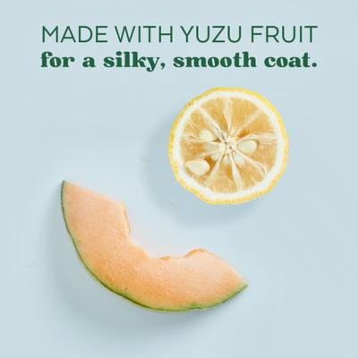 Show full view: TropiClean Essentials Moisturizing Yuzu Fruit Dog Shampoo, 16-fl oz bottle slide 4 of 7