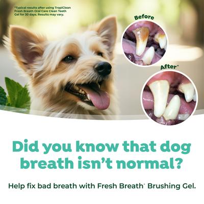 Show full view: TropiClean Fresh Breath Brushing Dog Dental Gel, 2-fl oz bottle slide 6 of 9