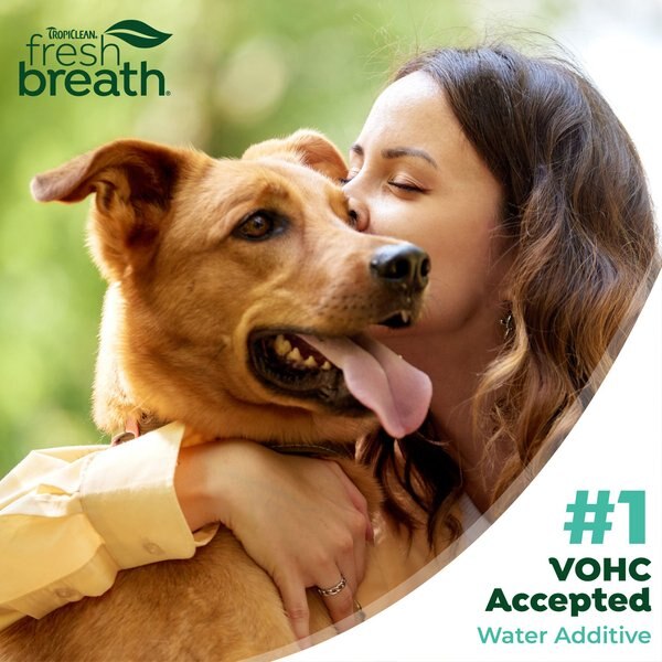 TropiClean Fresh Breath Dental Water Additive Plus Gut Health for Dogs