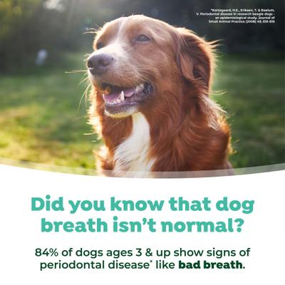 Show full view: TropiClean Fresh Breath Drops Dog Dental Water Additive, 2.2oz bottle slide 7 of 11