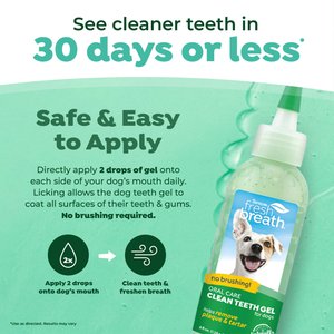 TropiClean Fresh Breath No Brushing Dog Toothpaste Gel, 4-fl oz bottle