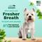 Show in main carousel: TropiClean Fresh Breath Oral Care Breath Freshener Dog Dental Foam, 4.5-oz bottle slide 4 of 11