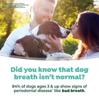 Show full view: TropiClean Fresh Breath Oral Care Breath Freshener Dog Dental Foam, 4.5-oz bottle slide 7 of 11