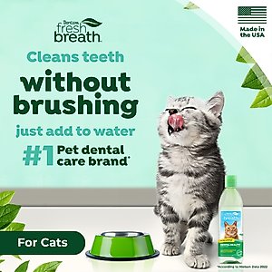 TropiClean Fresh Breath Oral Care Cat Water Additive, 16-fl oz bottle