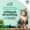 Show in main carousel: TropiClean Fresh Breath Oral Care Clean Teeth Plaque & Tartar Remover Cat Dental Gel, 2-fl oz bottle slide 4 of 11