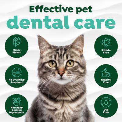 Show full view: TropiClean Fresh Breath Oral Care Clean Teeth Plaque & Tartar Remover Cat Dental Gel, 2-fl oz bottle slide 6 of 11