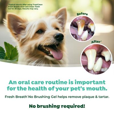 Show full view: TropiClean Fresh Breath Oral Care Clean Teeth Plaque & Tartar Remover Dog Dental Gel, 4-fl oz bottle slide 6 of 10