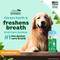 Show in main carousel: TropiClean Fresh Breath Oral Care Helps Remove Plaque & Tartar Large Dog Toothbrush Kit, bundle of 2 slide 4 of 12