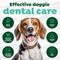 Show in main carousel: TropiClean Fresh Breath Oral Care Plaque & Tartar Remover Small/Medium Dog Toothbrush Kit slide 6 of 12