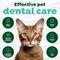 Show in main carousel: TropiClean Fresh Breath Plaque & Tartar Remover Cat Dental Kit slide 6 of 12