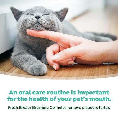 Show full view: TropiClean Fresh Breath Plaque & Tartar Remover Cat Dental Kit slide 8 of 12