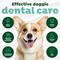 Show in main carousel: TropiClean Fresh Breath Total Care Dog Dental Kit, 2 count slide 7 of 11