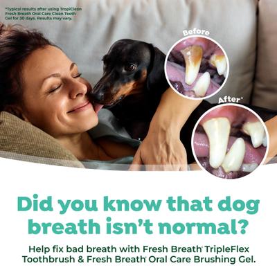 Show full view: TropiClean Fresh Breath Tripleflex Plaque & Tartar Remover Small Dog Toothbrush, 1 count slide 7 of 11