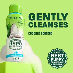 TropiClean Hypo-Allergenic Gentle Coconut Puppy & Kitten Shampoo, 20-fl oz bottle