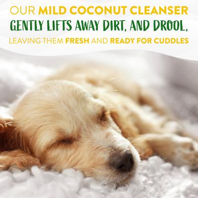 Show full view: TropiClean Hypo-Allergenic Gentle Coconut Puppy & Kitten Shampoo, 20-oz bottle + Deodorizing Dogs Wipes, 100 count slide 9 of 9