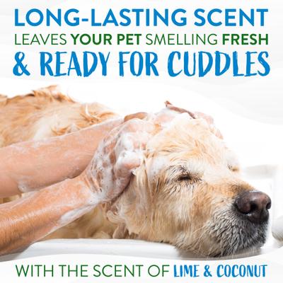 Show full view: TropiClean Lime & Coconut Deshedding Shampoo, 1-gal bottle + Lime & Cocoa Butter Deshedding Dog Conditioner, 1-gal bottle slide 5 of 10