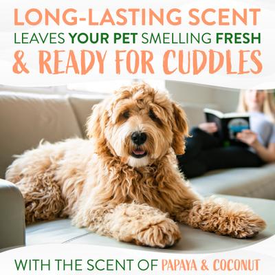 Show full view: TropiClean Luxury 2 in 1 Papaya & Coconut Shampoo & Conditioner, 20-fl oz bottle + Papaya Deodorizing Dog & Cat Spray, 8-fl oz bottle slide 9 of 10