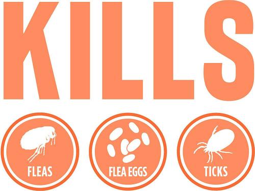 Show full view: TropiClean Maximum Strength Natural Flea & Tick Dog Shampoo + Spray for Dogs & Bedding slide 8 of 10