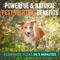 Show in main carousel: TropiClean Natural Flea & Tick Treatment Spray for Dogs, Citrus Scent, 32-fl oz bottle slide 4 of 10